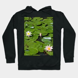 Water lilies Hoodie